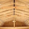 12x20 High Barn