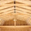 12x20 High Barn